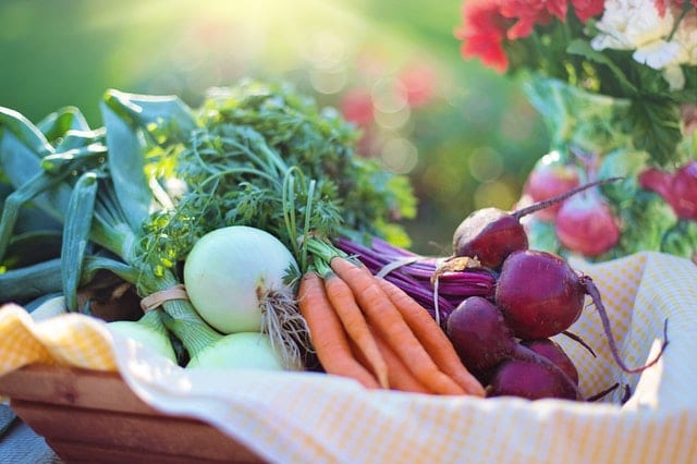 Basket of fresh vegetables