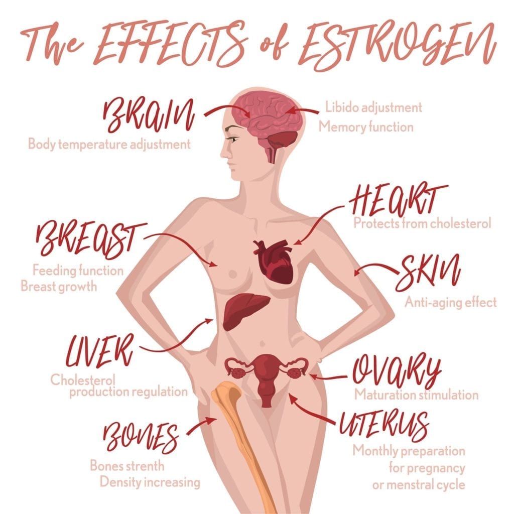 Estrogen Imbalance