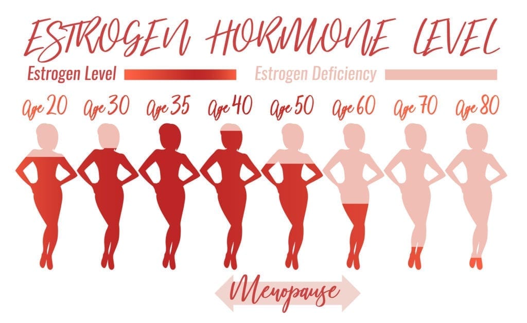 Female Hormones