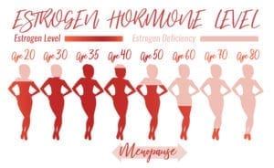 Female Hormones