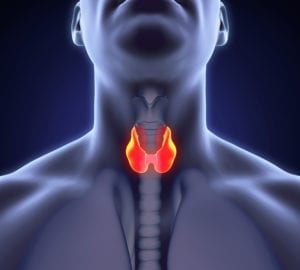 Low Thyroid